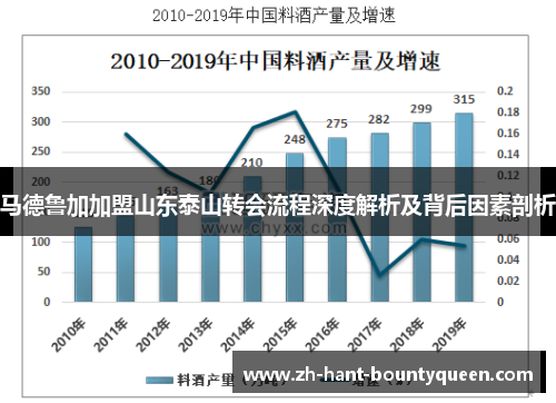 马德鲁加加盟山东泰山转会流程深度解析及背后因素剖析